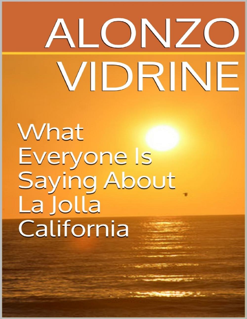 Big bigCover of What Everyone Is Saying About La Jolla California