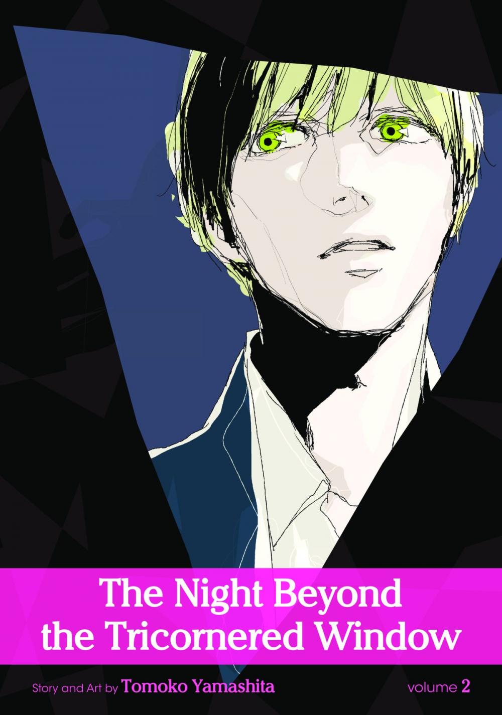 Big bigCover of The Night Beyond the Tricornered Window, Vol. 2 (Yaoi Manga)