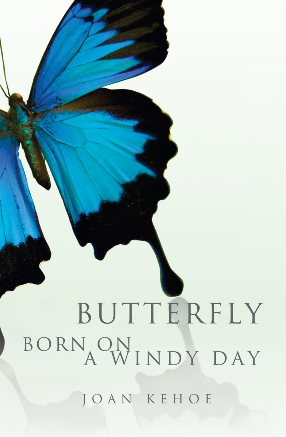 Big bigCover of Butterfly Born on a Windy Day