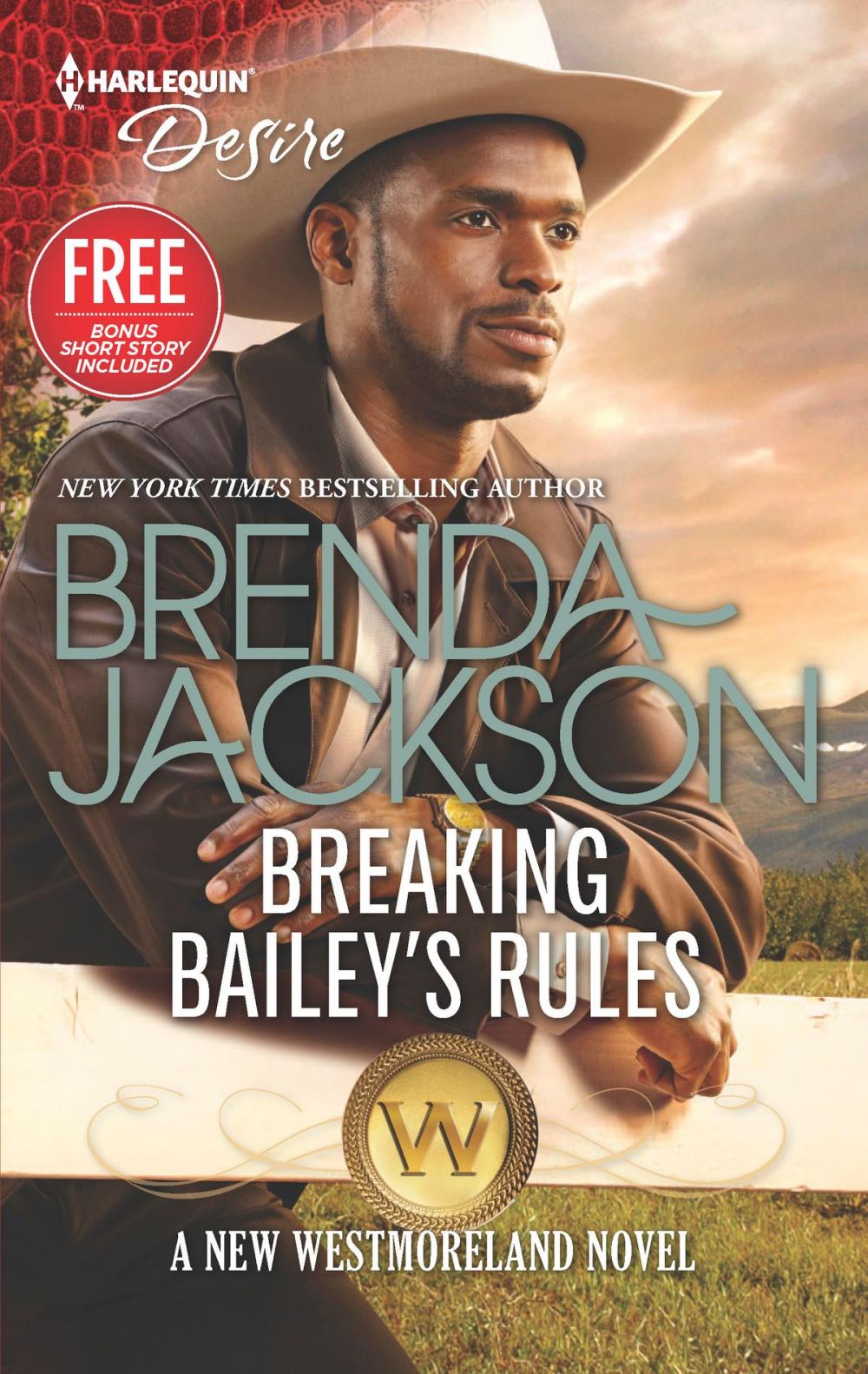 Big bigCover of Breaking Bailey's Rules