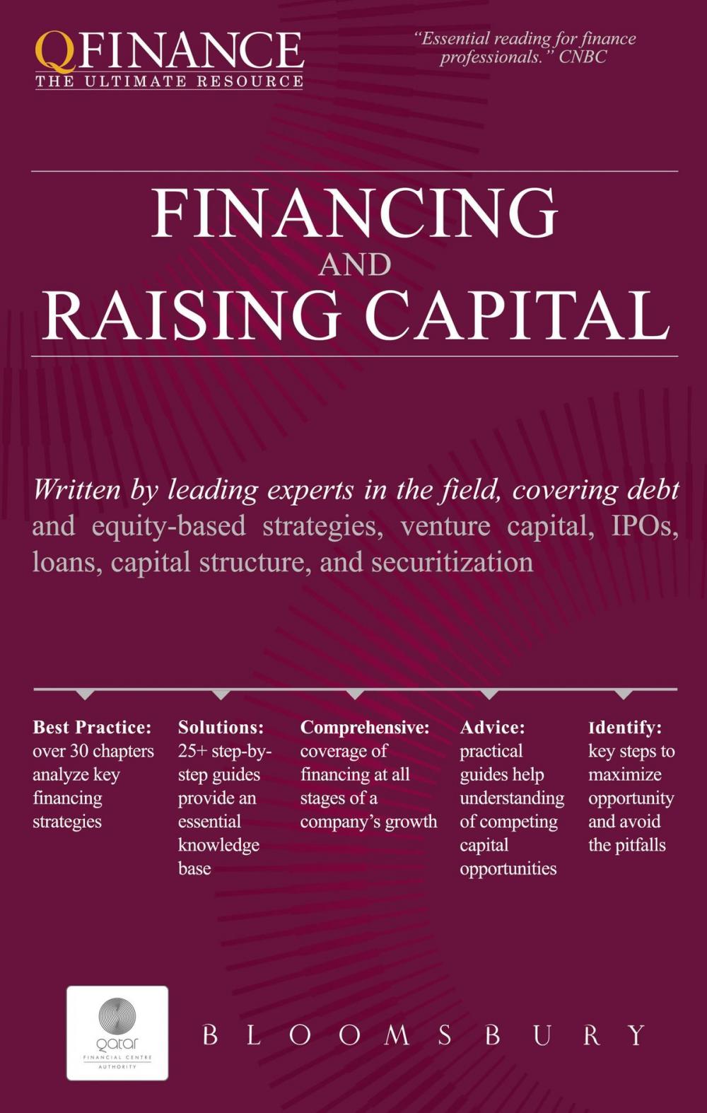 Big bigCover of Financing and Raising Capital