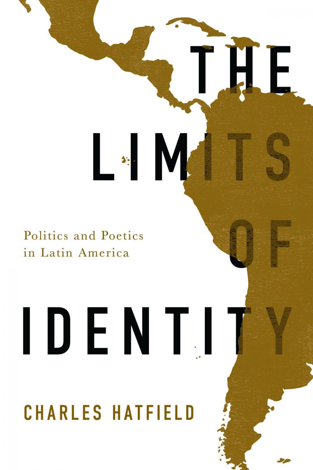 Big bigCover of The Limits of Identity