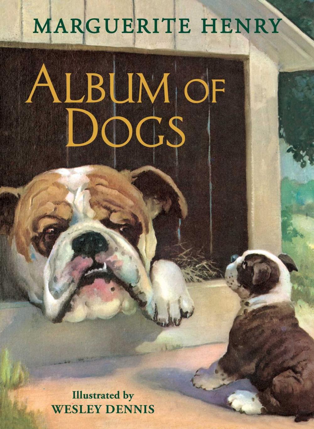 Big bigCover of Album of Dogs