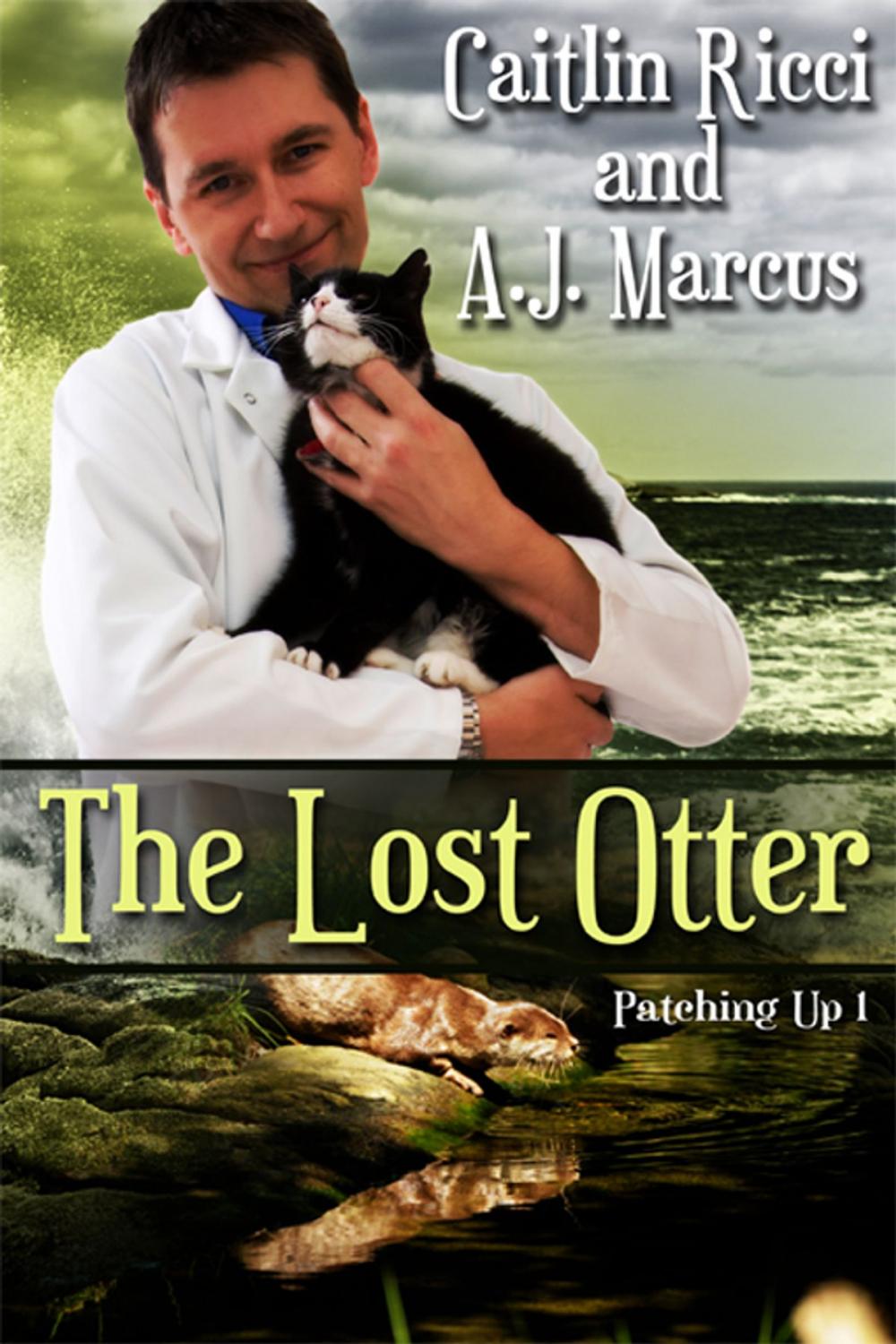 Big bigCover of The Lost Otter