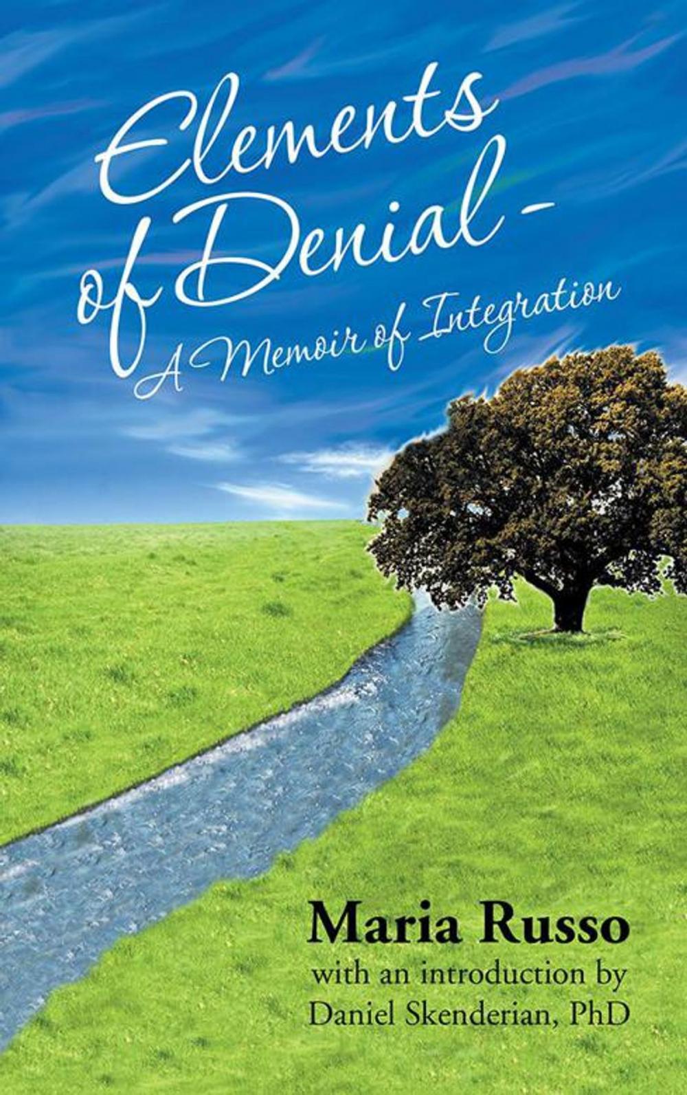 Big bigCover of Elements of Denial - a Memoir of Integration