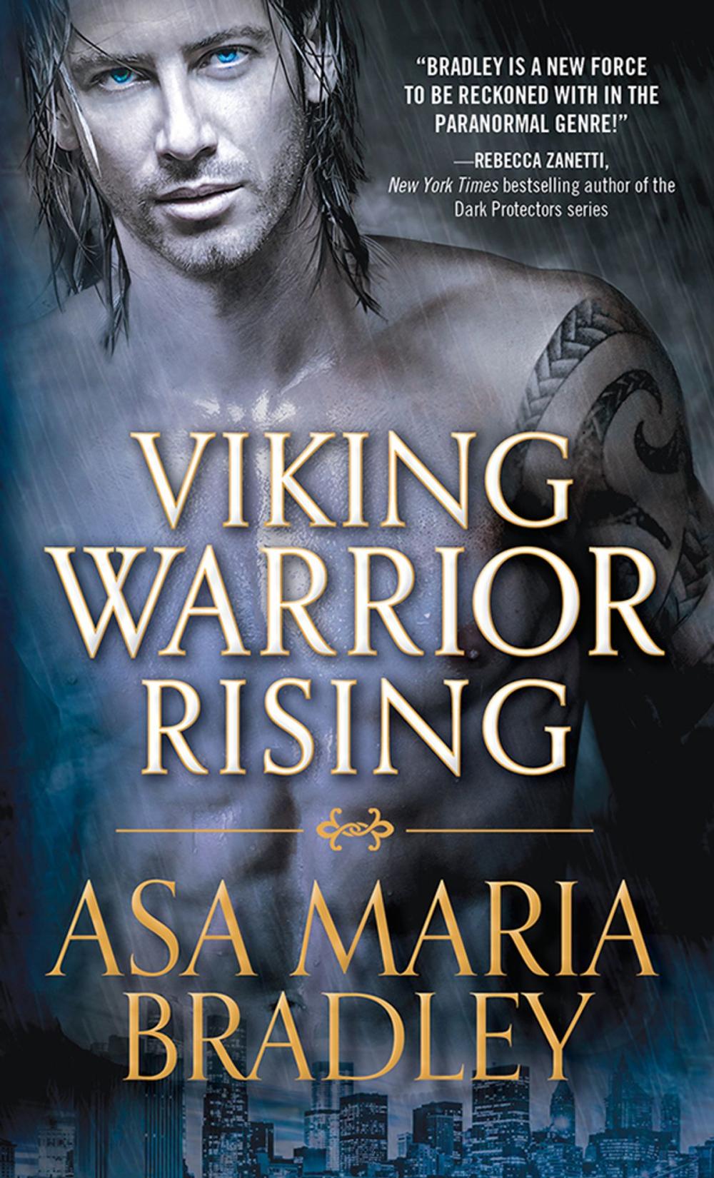 Big bigCover of Viking Warrior Rising