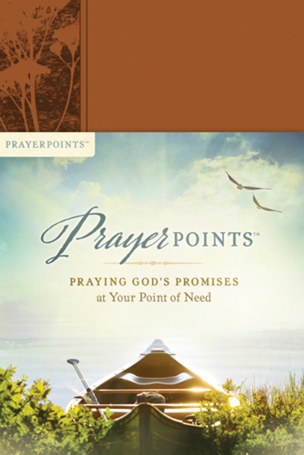 Big bigCover of PrayerPoints