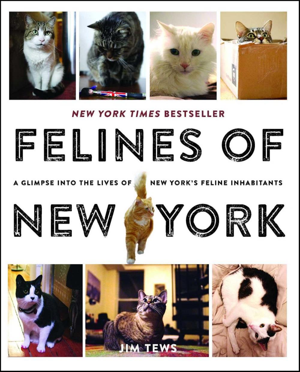 Big bigCover of Felines of New York