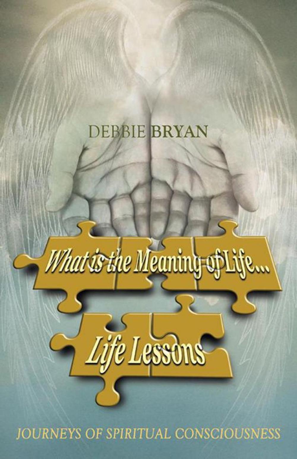 Big bigCover of What Is the Meaning of Life... Life Lessons