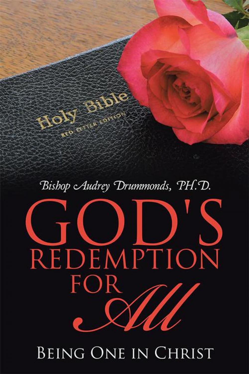 Big bigCover of God's Redemption for All