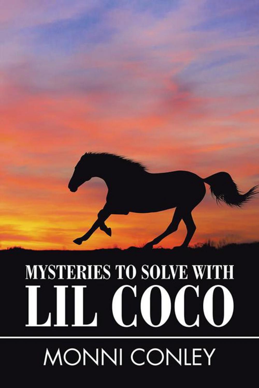 Big bigCover of Mysteries to Solve with Lil Coco