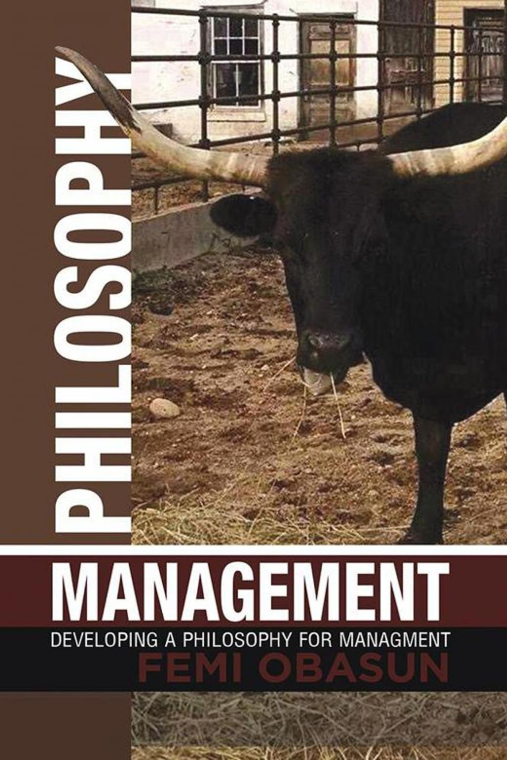 Big bigCover of Philosophy Management