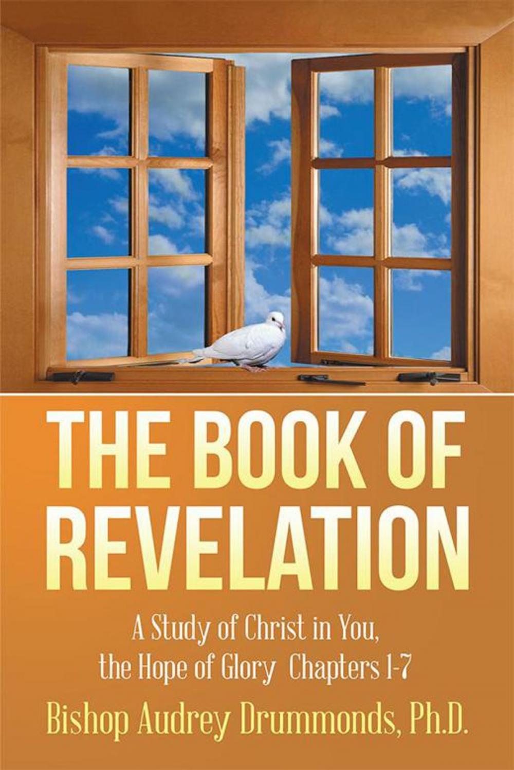 Big bigCover of The Book of Revelation