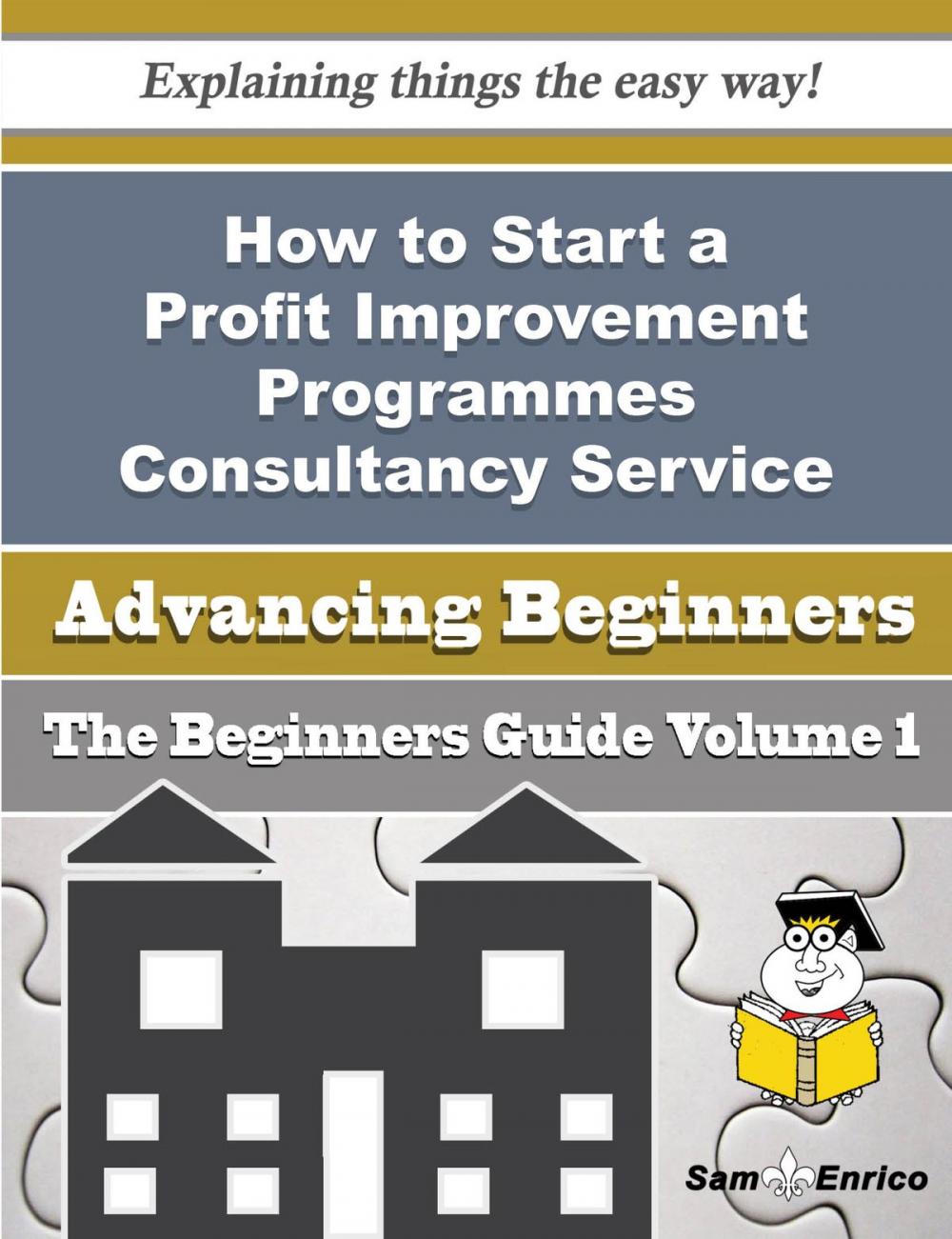 Big bigCover of How to Start a Profit Improvement Programmes Consultancy Service Business (Beginners Guide)