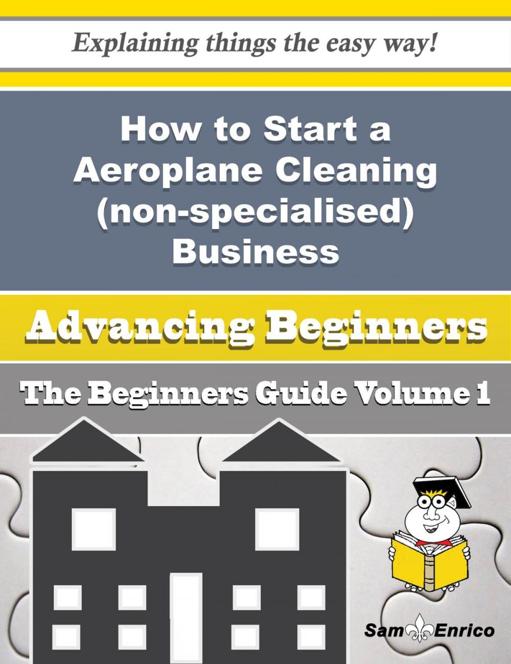 Big bigCover of How to Start a Aeroplane Cleaning (non-specialised) Business (Beginners Guide)