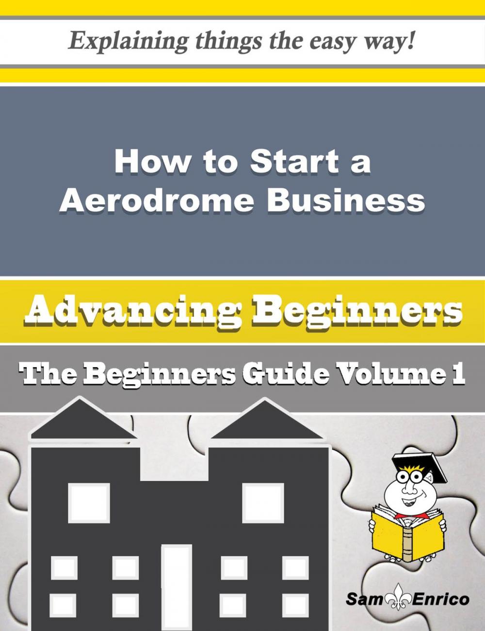 Big bigCover of How to Start a Aerodrome Business (Beginners Guide)