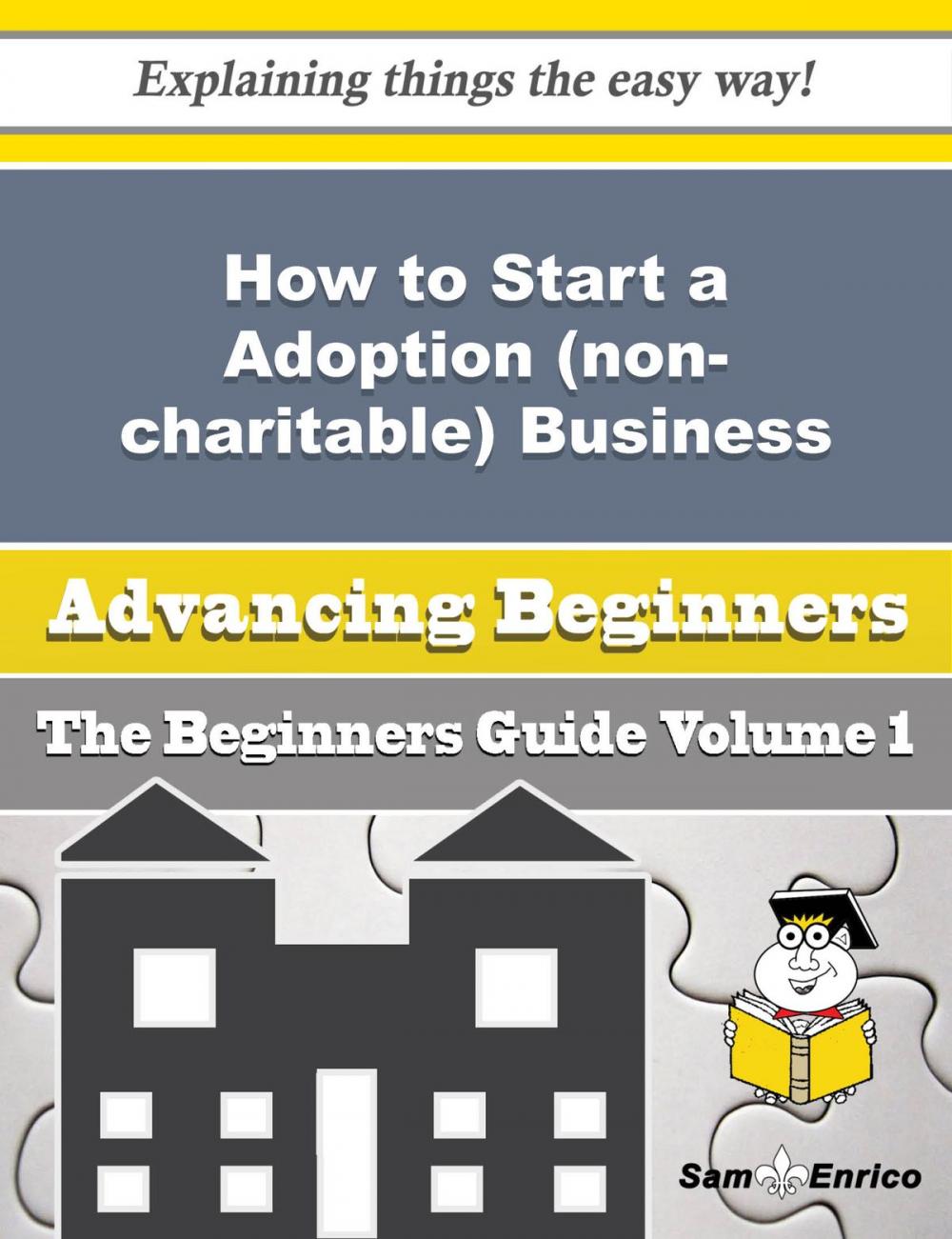 Big bigCover of How to Start a Adoption (non-charitable) Business (Beginners Guide)