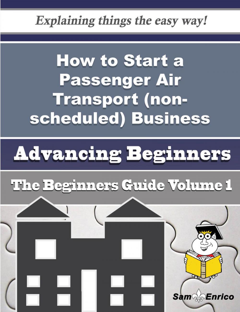 Big bigCover of How to Start a Passenger Air Transport (non-scheduled) Business (Beginners Guide)