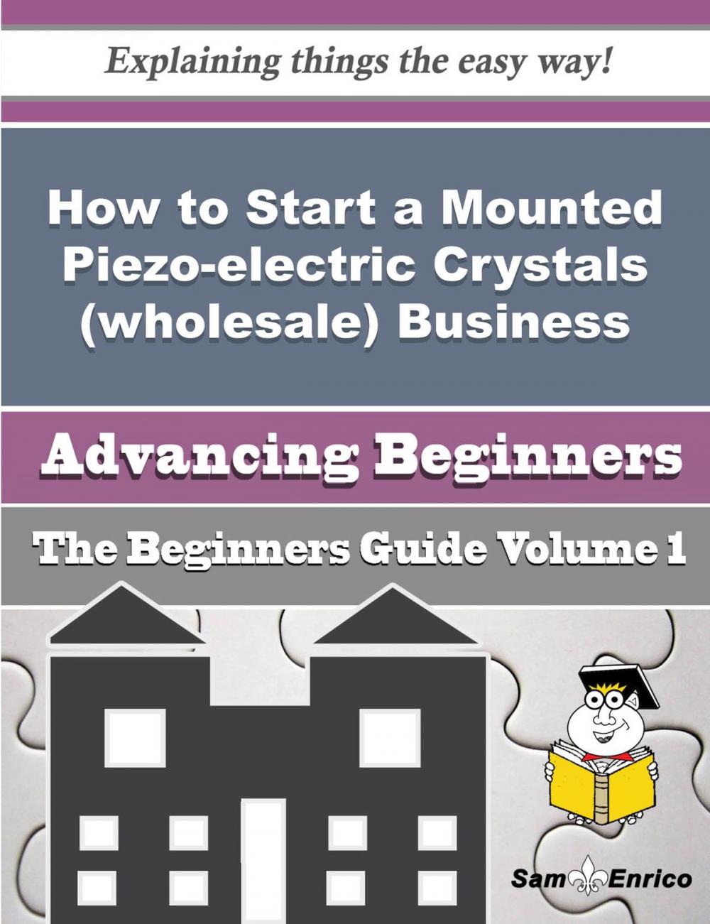 Big bigCover of How to Start a Mounted Piezo-electric Crystals (wholesale) Business (Beginners Guide)