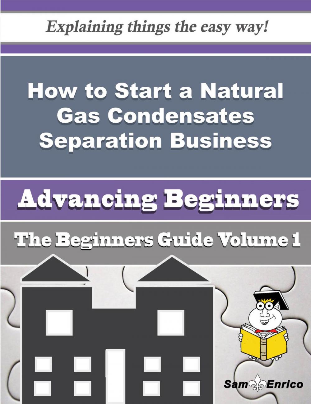 Big bigCover of How to Start a Natural Gas Condensates Separation Business (Beginners Guide)