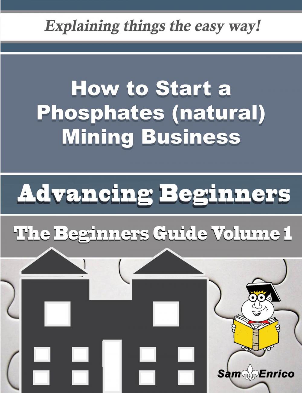 Big bigCover of How to Start a Phosphates (natural) Mining Business (Beginners Guide)