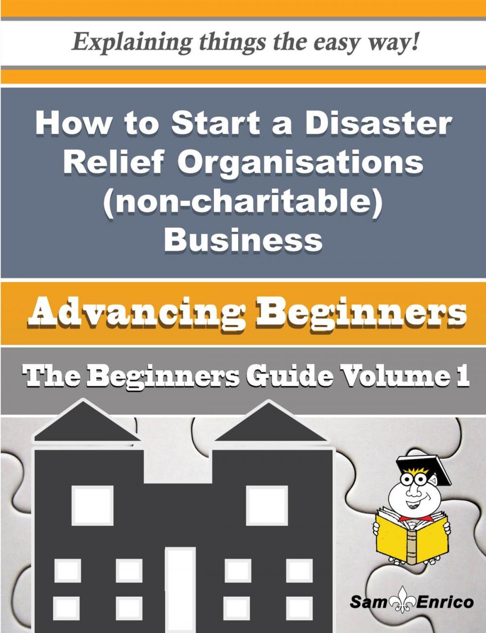 Big bigCover of How to Start a Disaster Relief Organisations (non-charitable) Business (Beginners Guide)