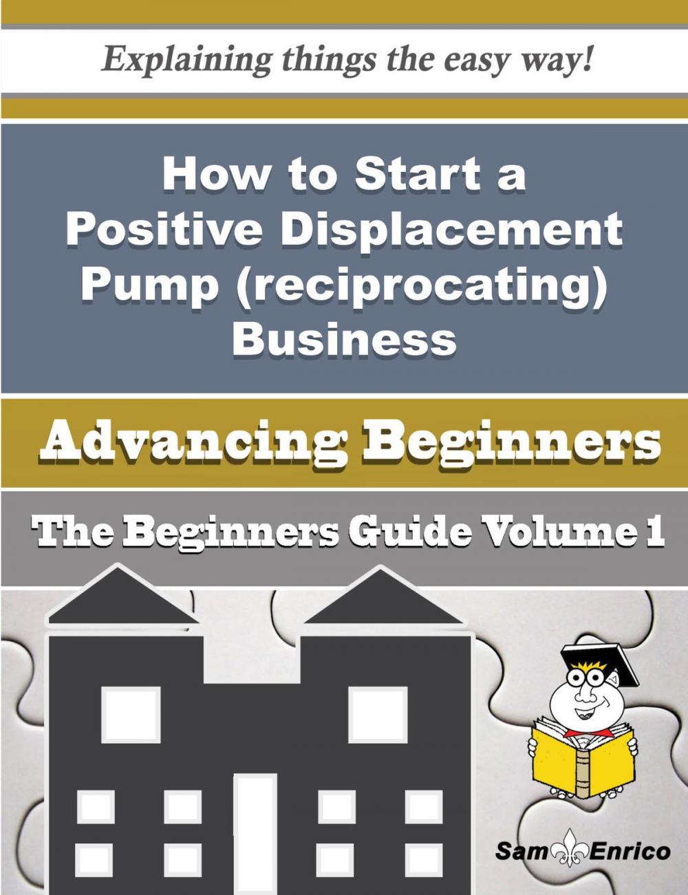 Big bigCover of How to Start a Positive Displacement Pump (reciprocating) Business (Beginners Guide)