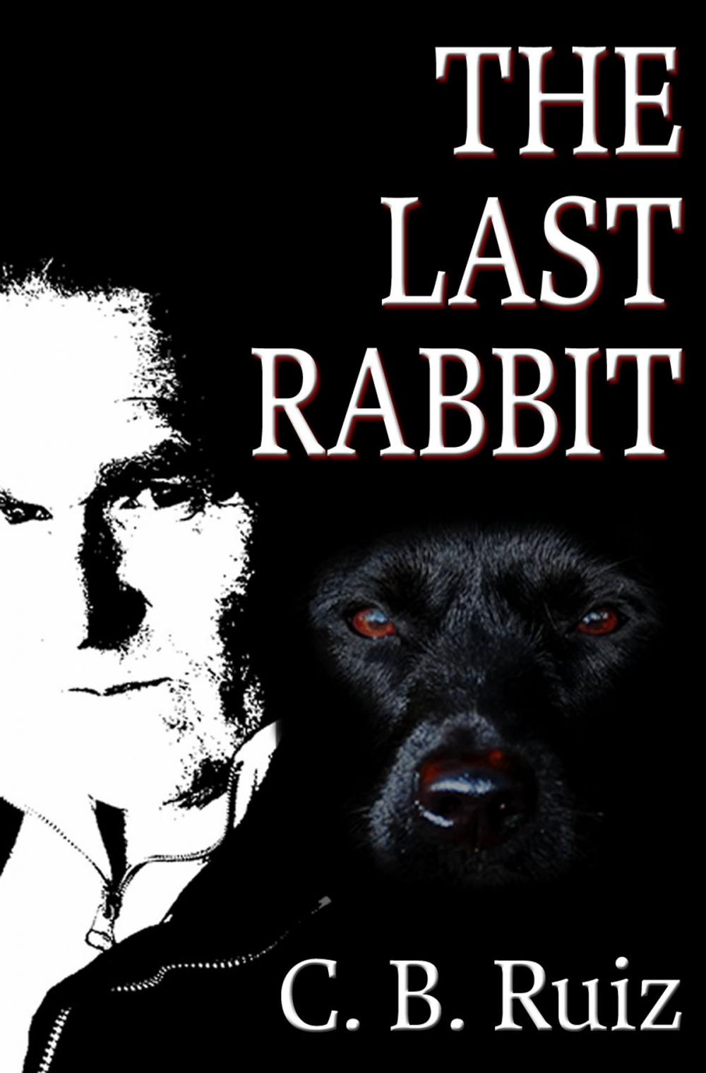 Big bigCover of The Last Rabbit