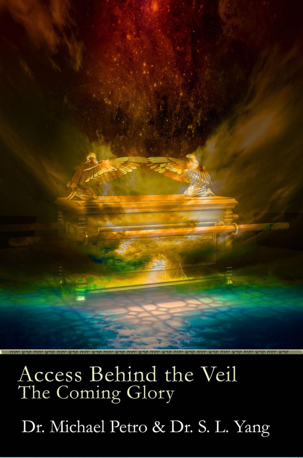 Big bigCover of Access Behind the Veil