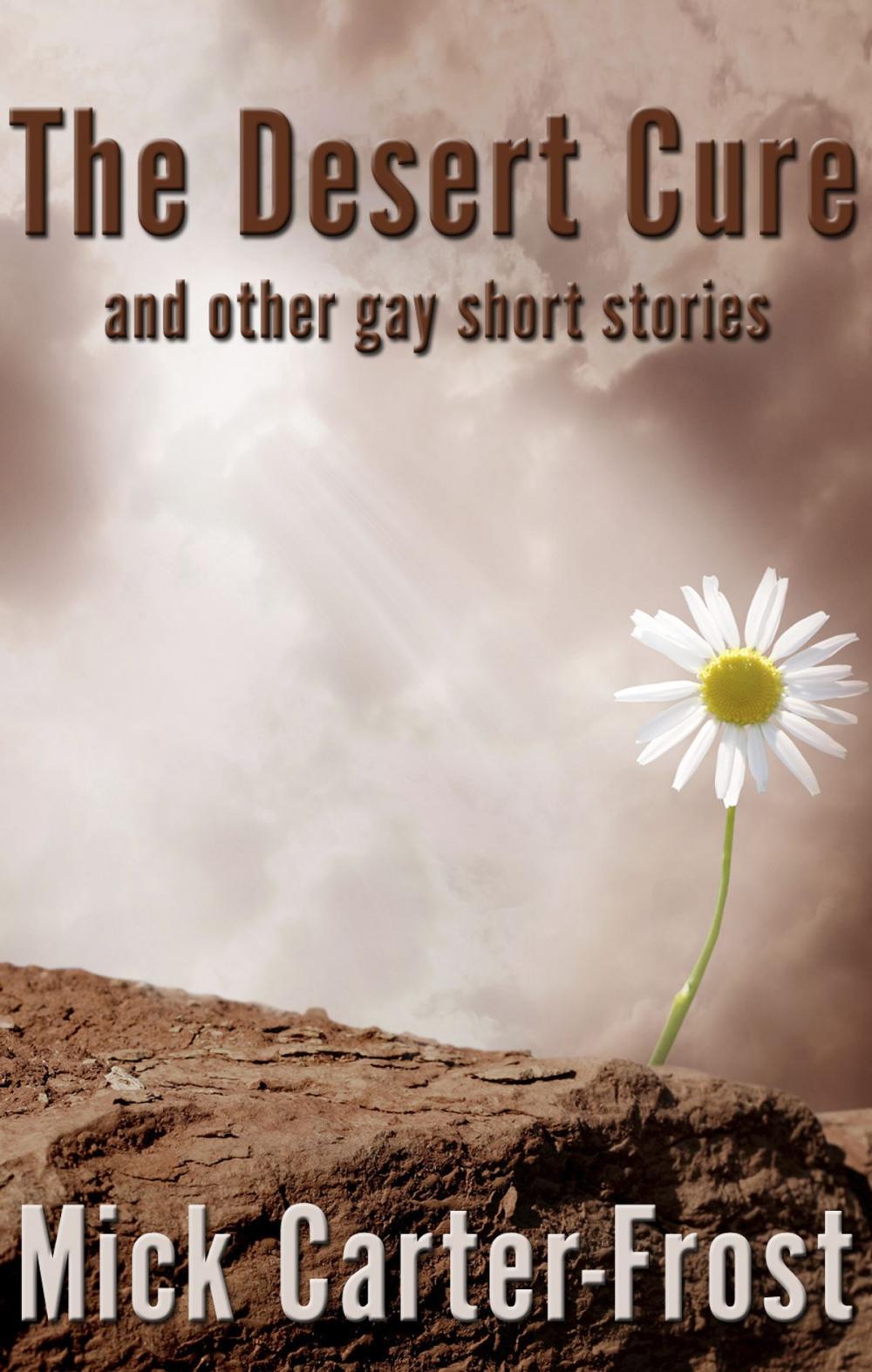 Big bigCover of The Desert Cure and other gay short stories