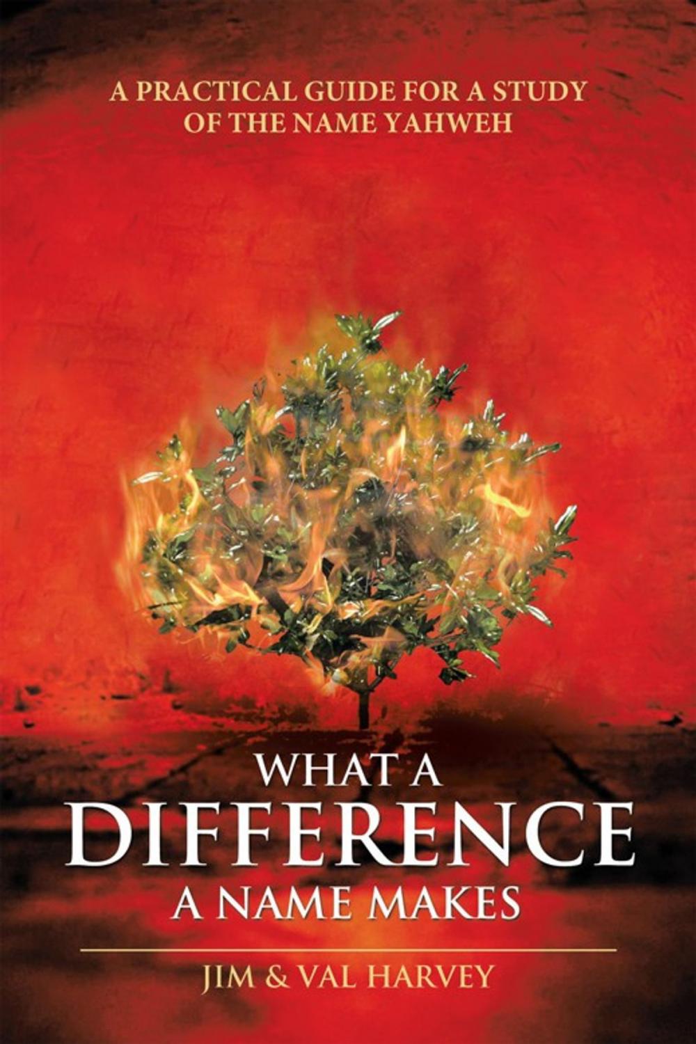 Big bigCover of What a Difference a Name Makes