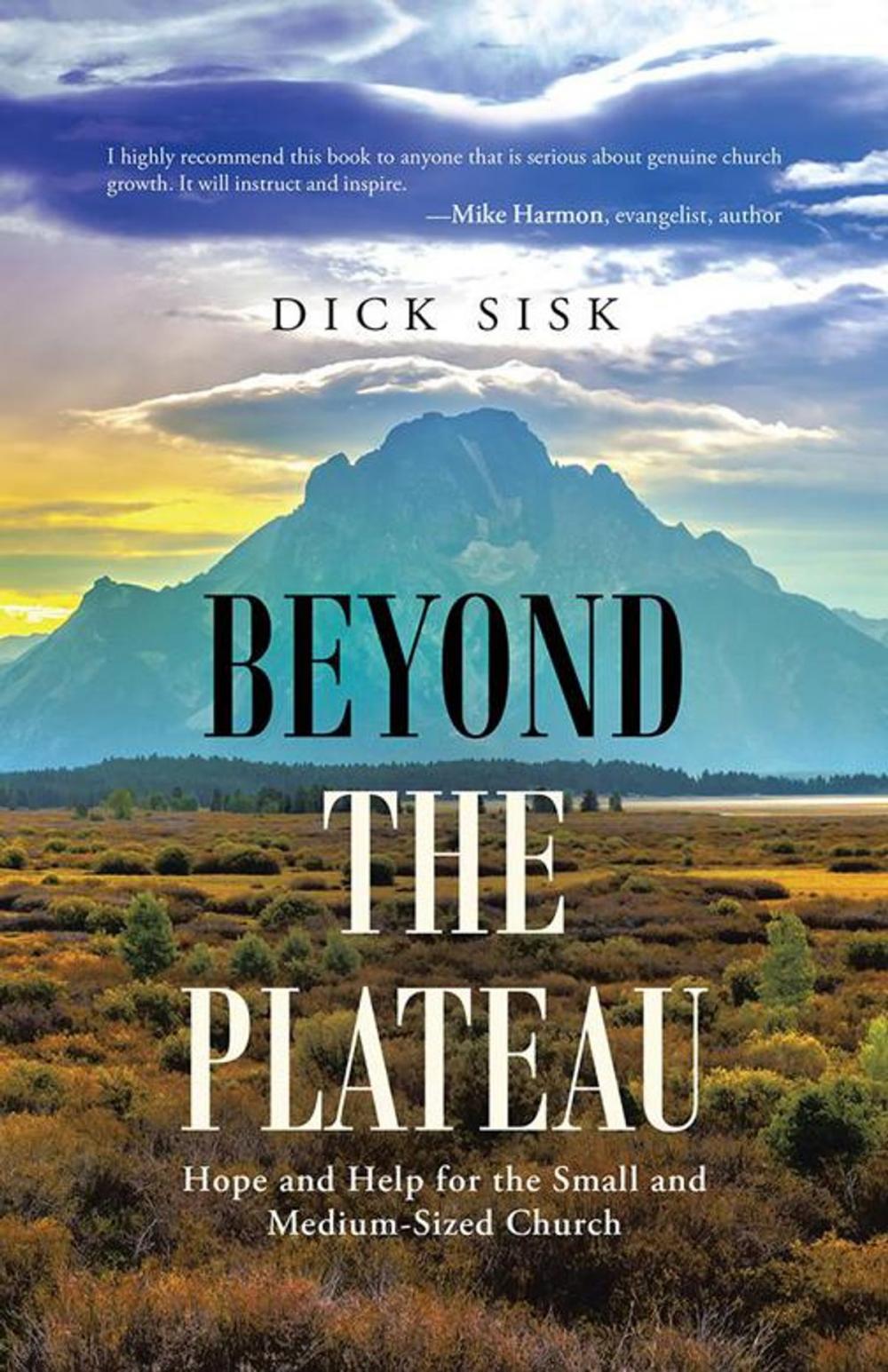 Big bigCover of Beyond the Plateau