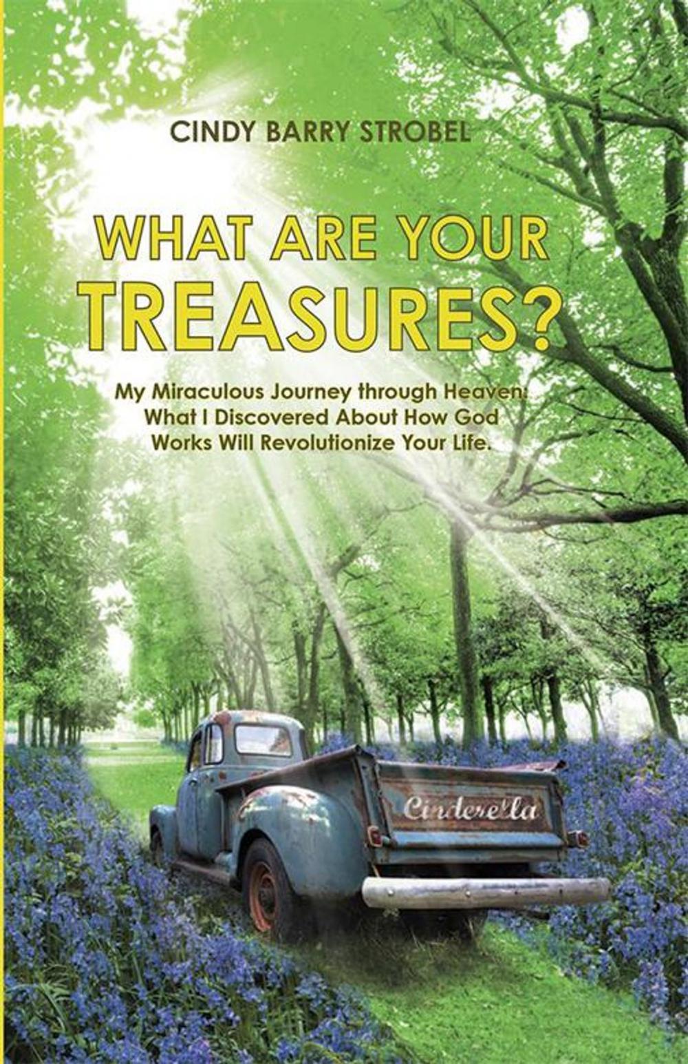 Big bigCover of What Are Your Treasures?