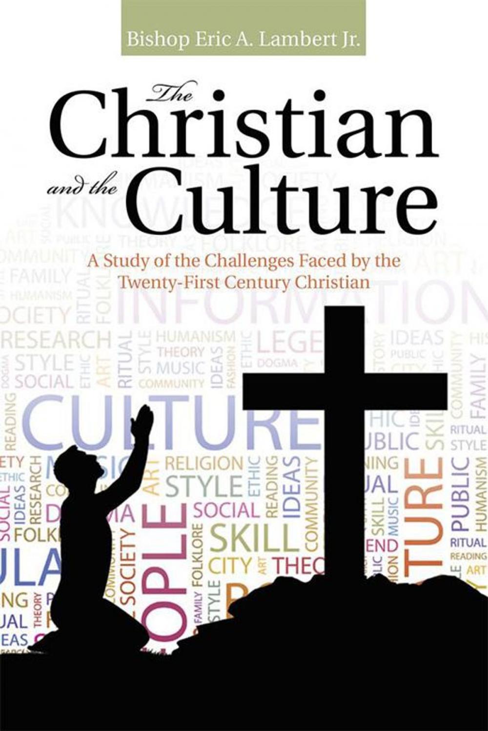 Big bigCover of The Christian and the Culture