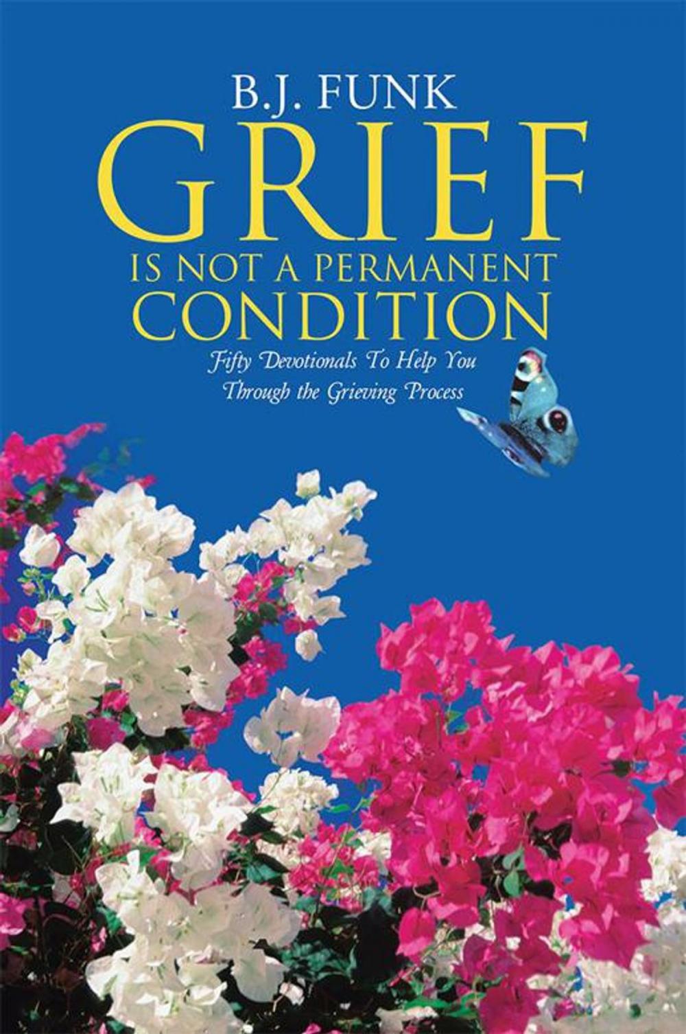 Big bigCover of Grief Is Not a Permanent Condition