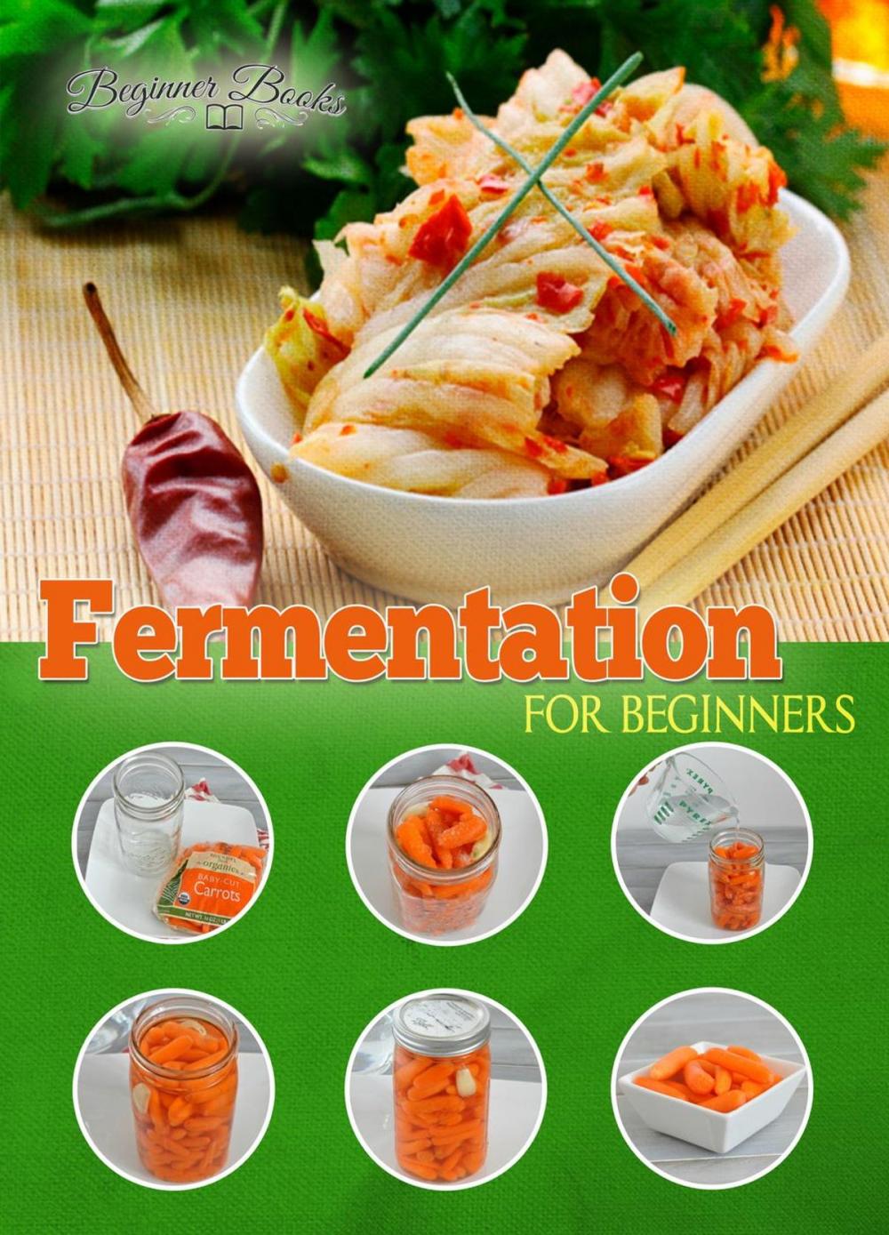 Big bigCover of Fermentation for Beginners