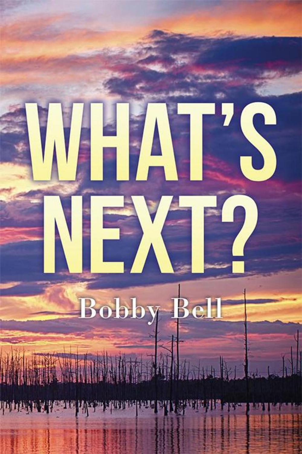 Big bigCover of What’S Next ?