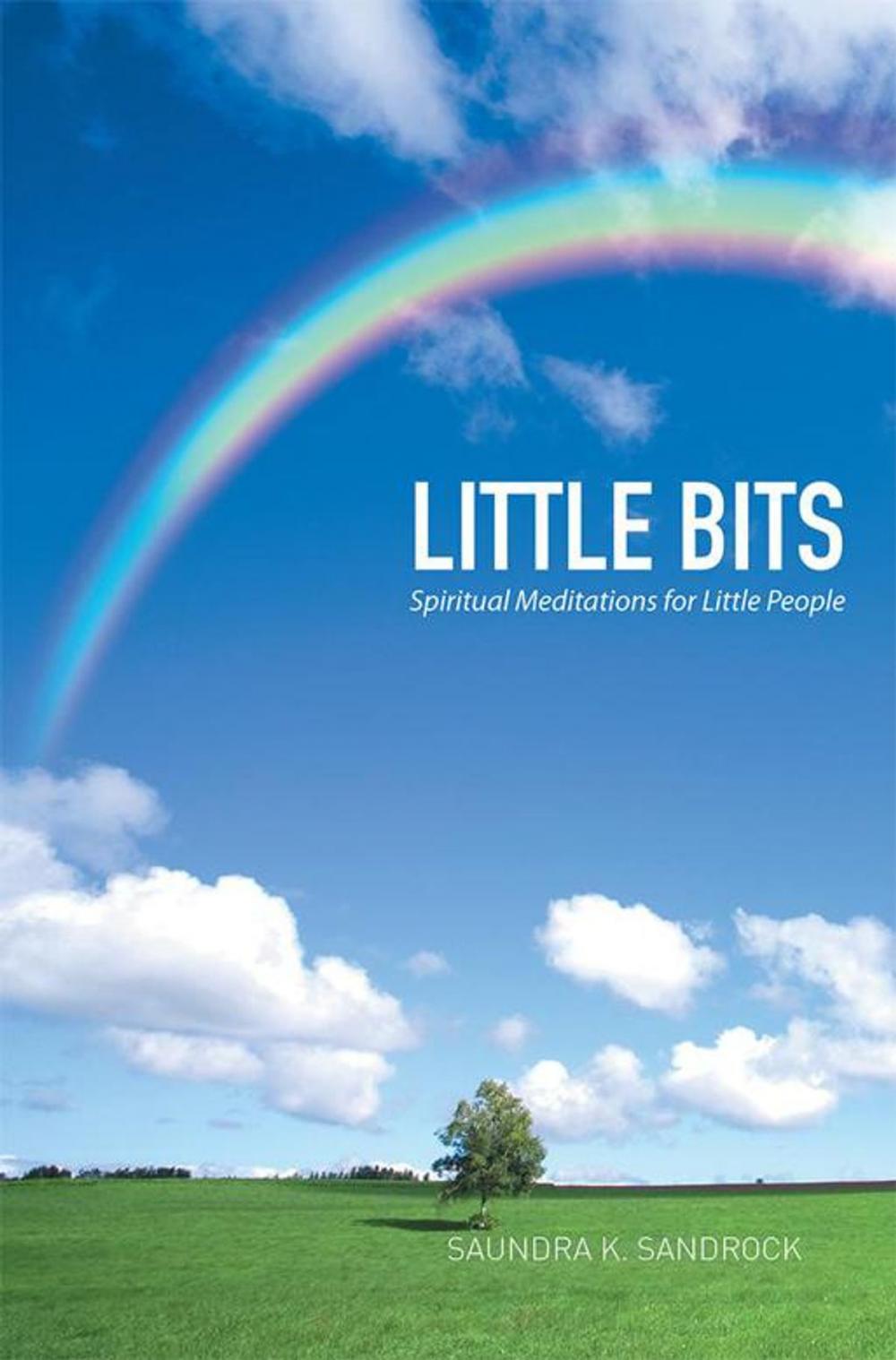 Big bigCover of Little Bits