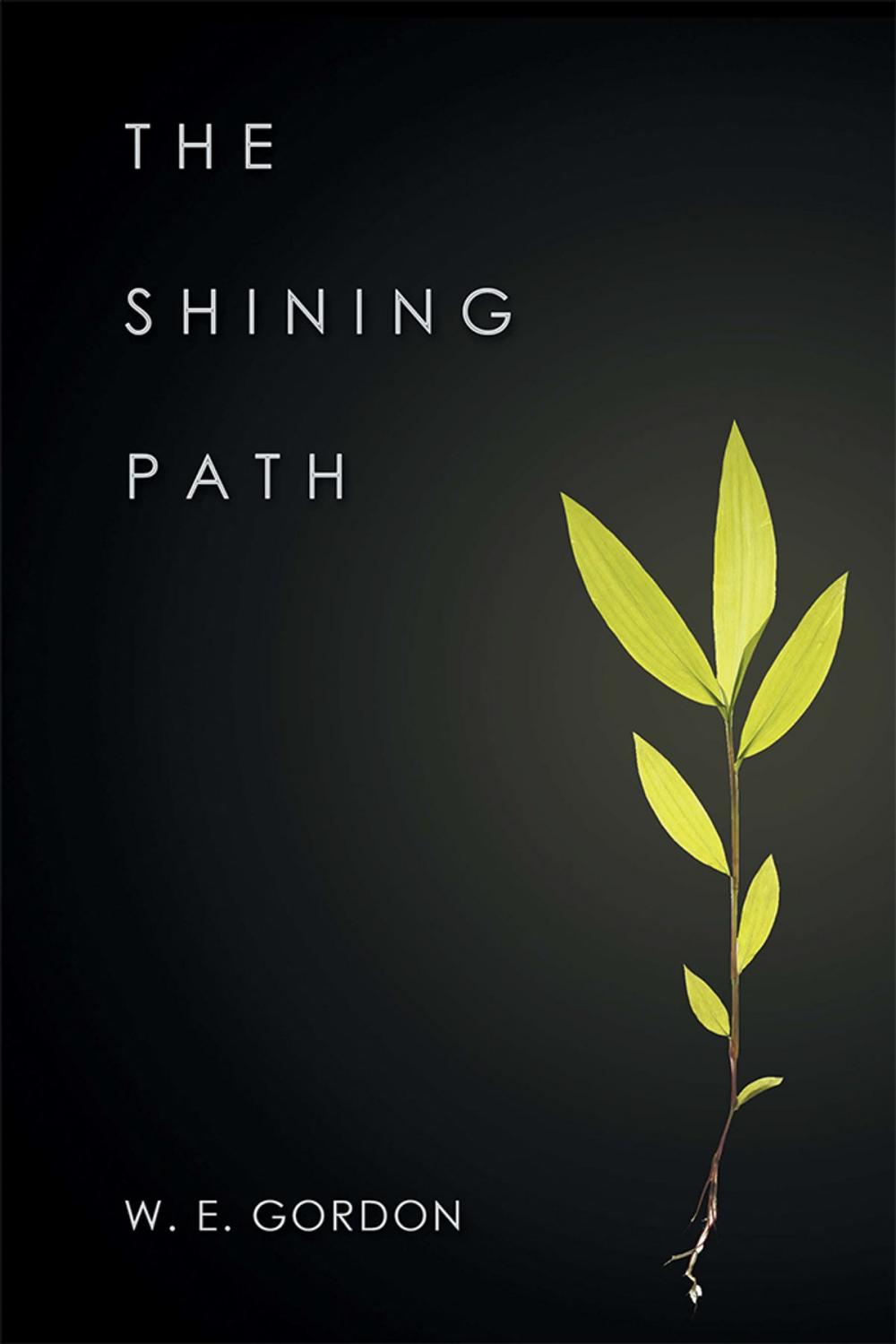 Big bigCover of The Shining Path