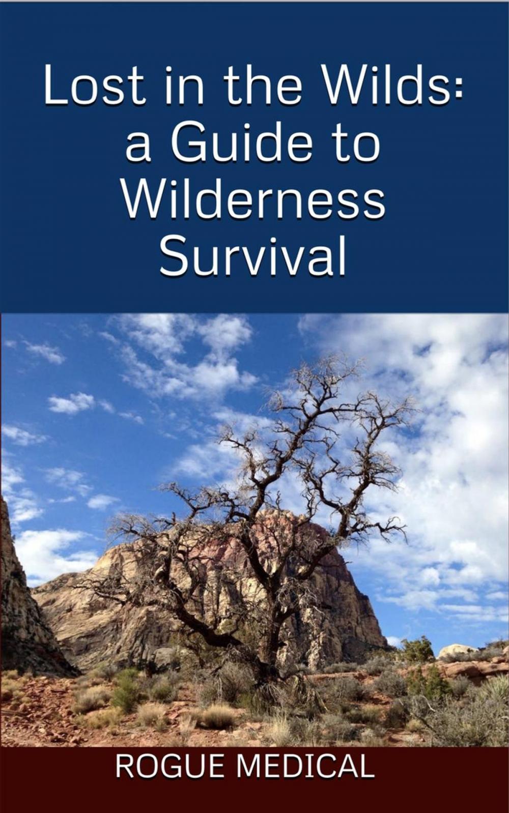 Big bigCover of Lost in the Wilds: a Guide to Wilderness Survival