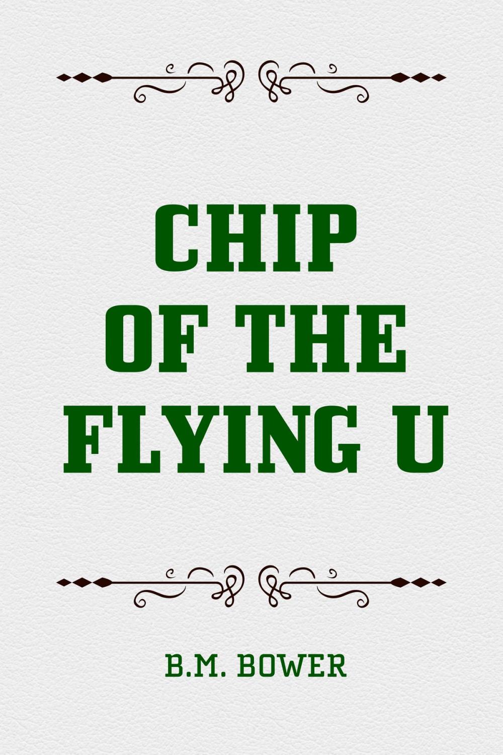 Big bigCover of Chip of the Flying U