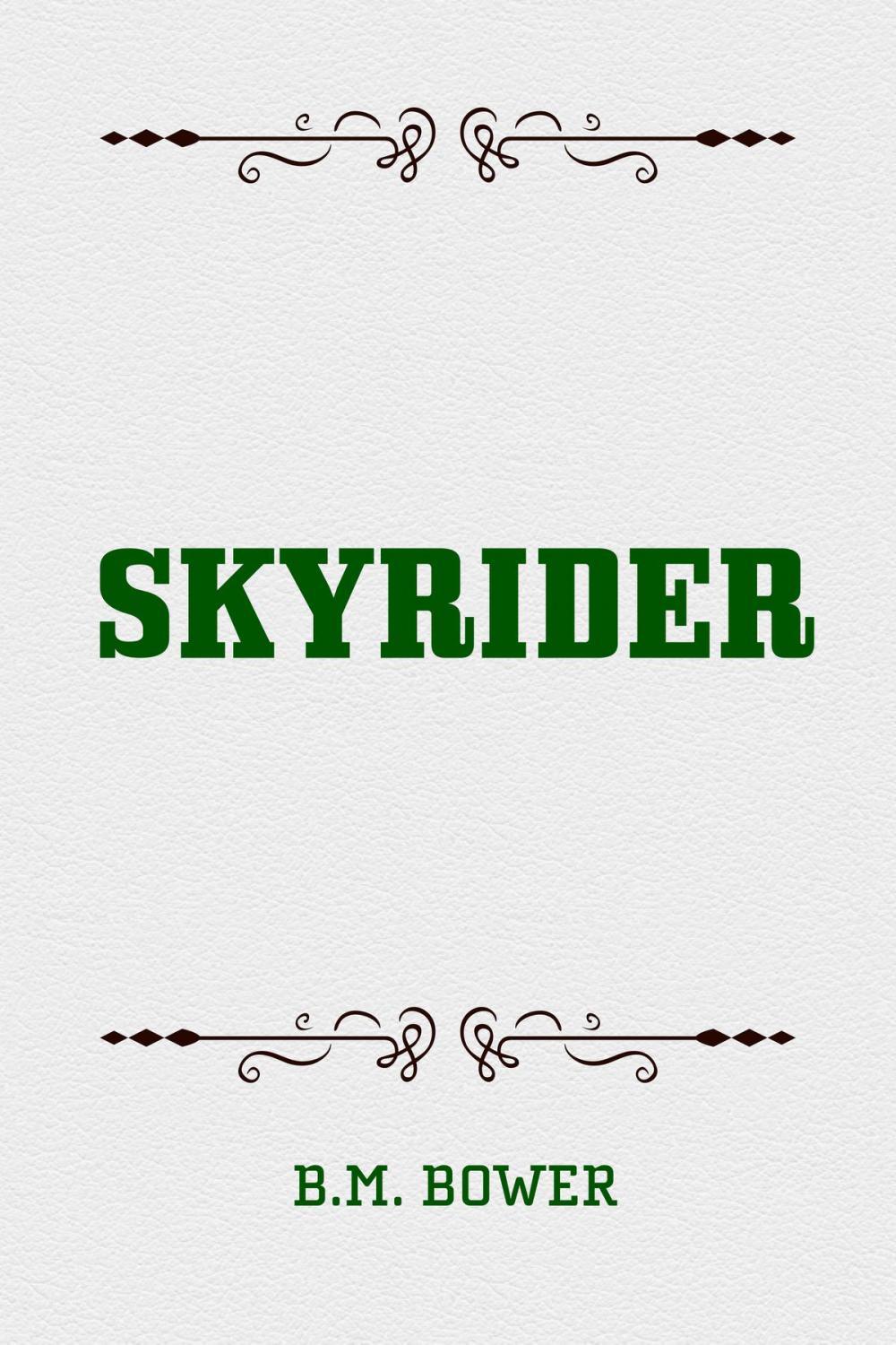 Big bigCover of Skyrider