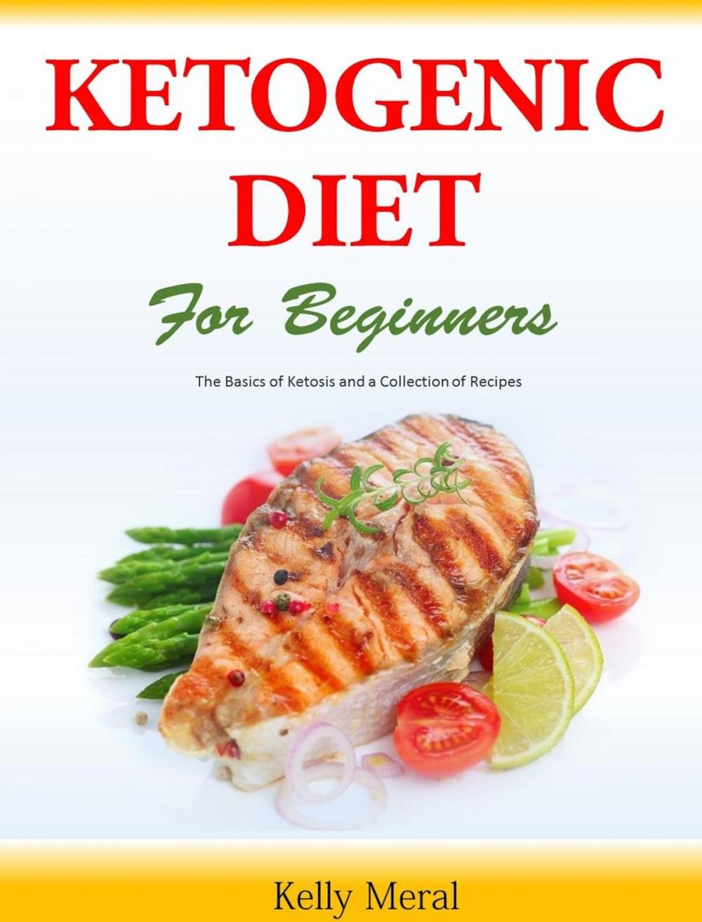 Big bigCover of The Ketogenic Diet for Beginners The Basics of Ketosis and a Collection of Recipes