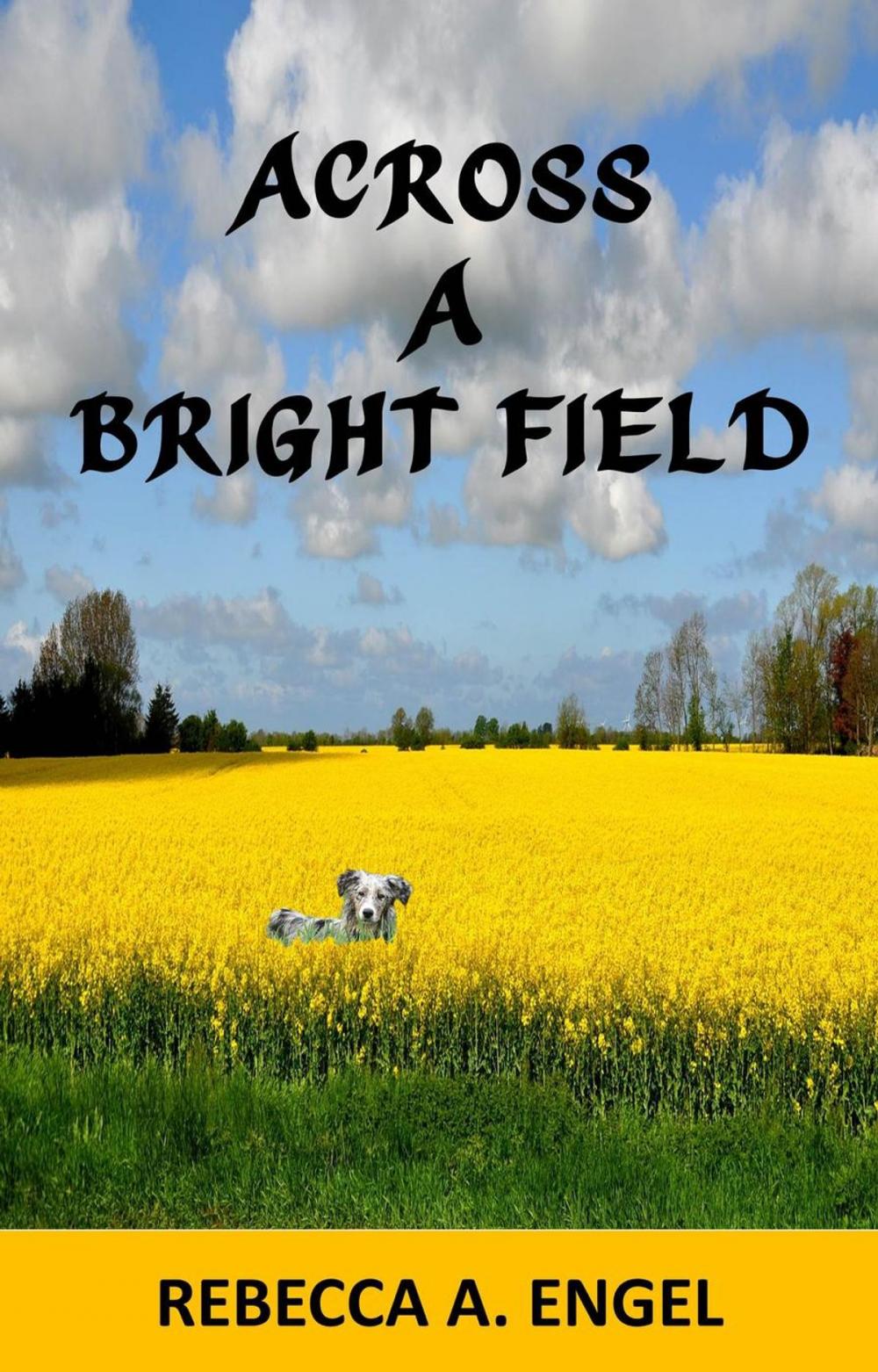 Big bigCover of Across A Bright Field