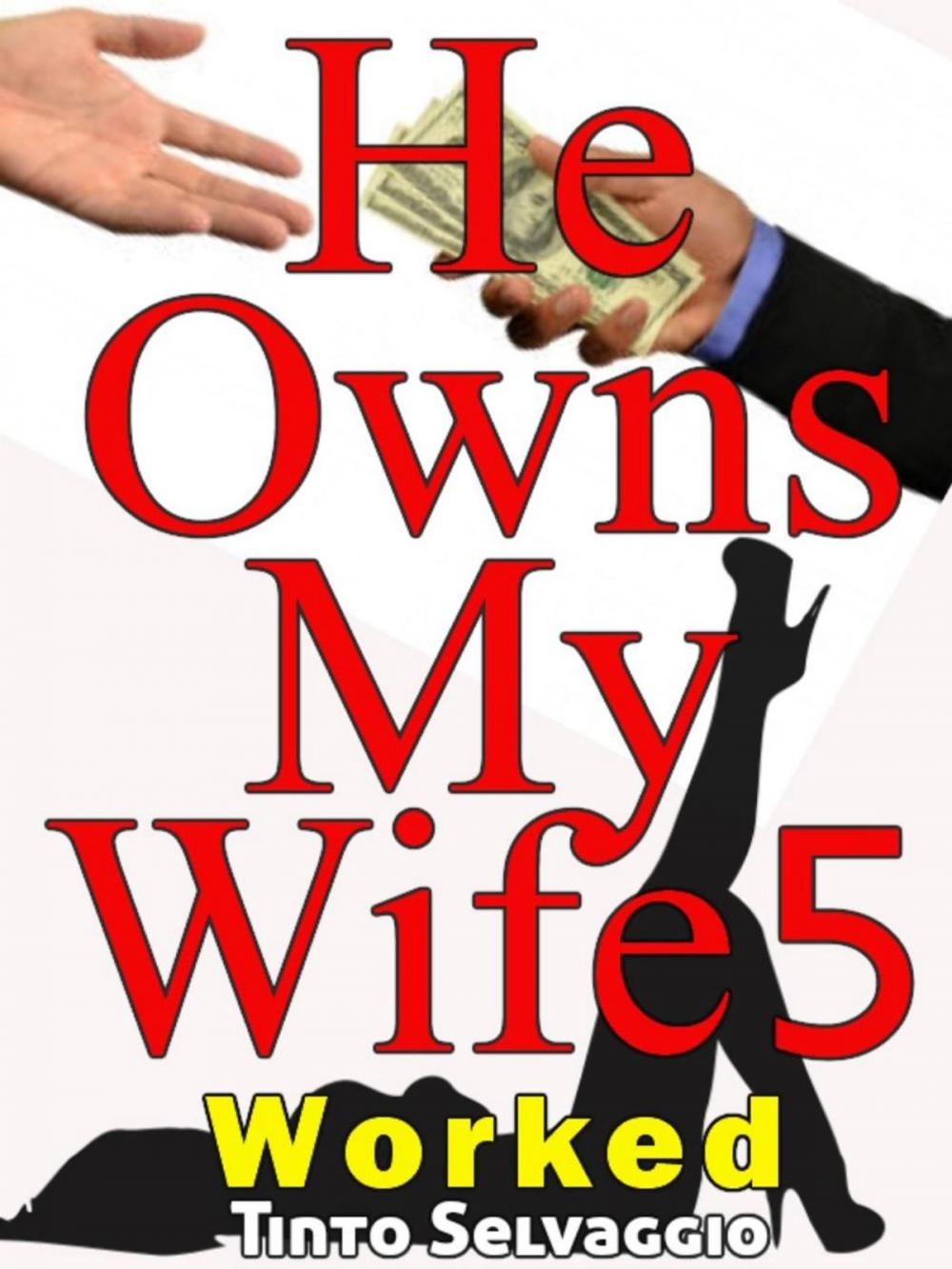 Big bigCover of He Owns My Wife 5: Worked