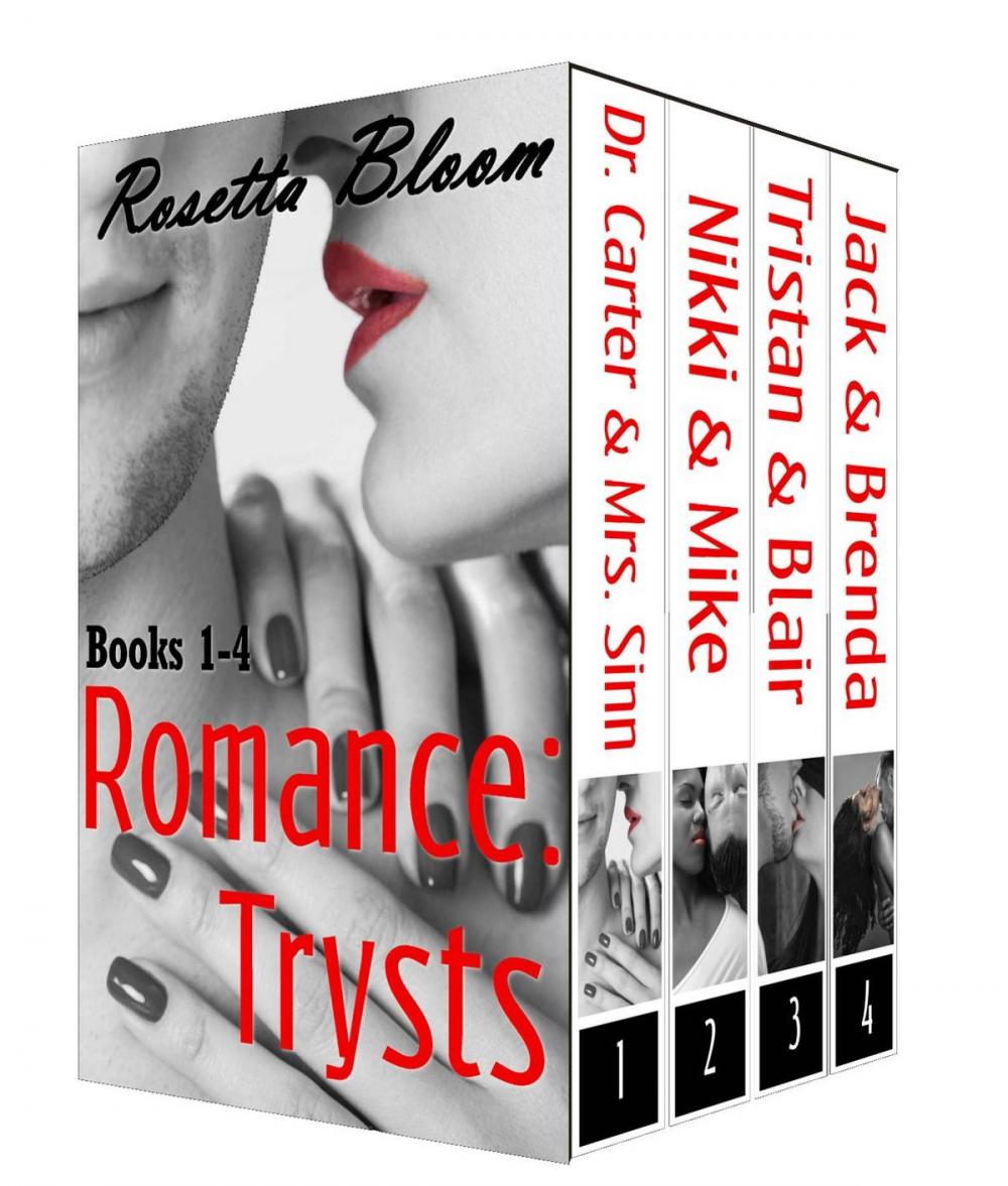 Big bigCover of Romance Trysts (Volumes 1-4)