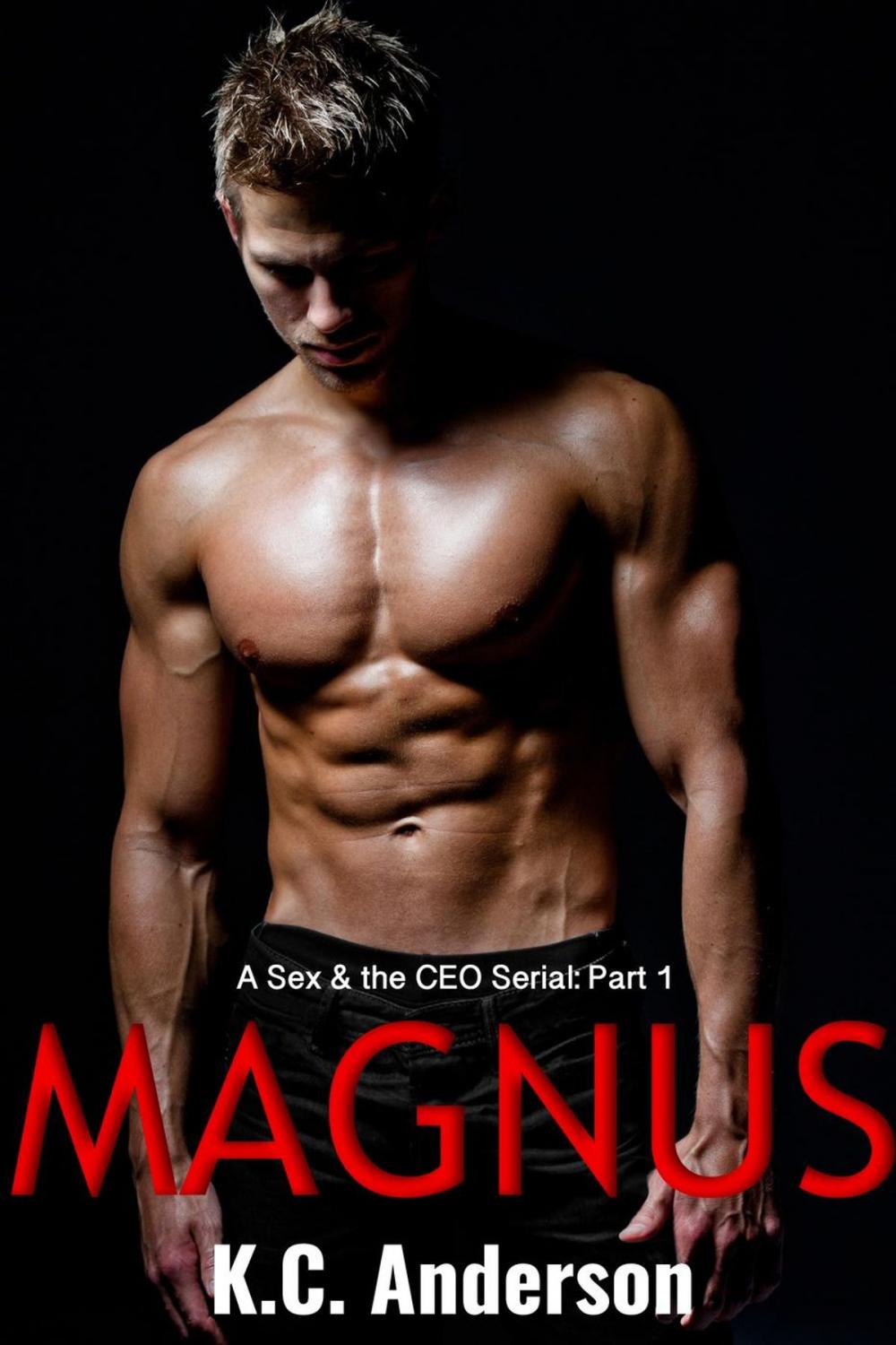 Big bigCover of Magnus Part 1: A Sex & the CEO Serial