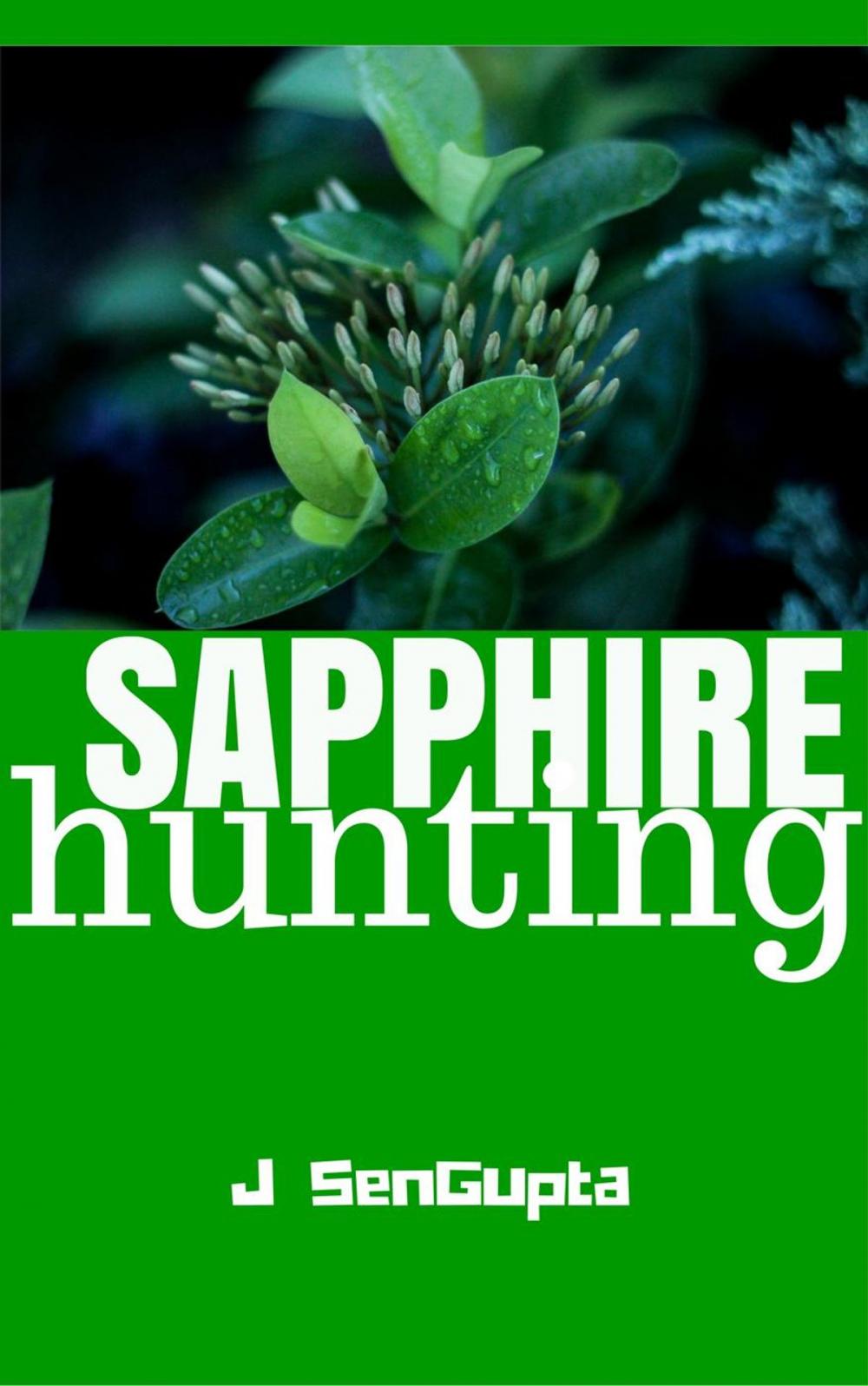 Big bigCover of Sapphire Hunting