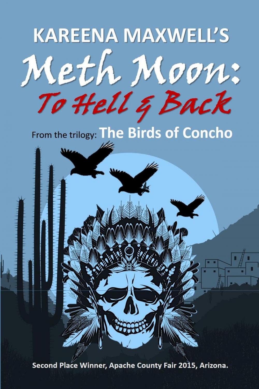 Big bigCover of Meth Moon: To Hell & Back (Native American Fiction)