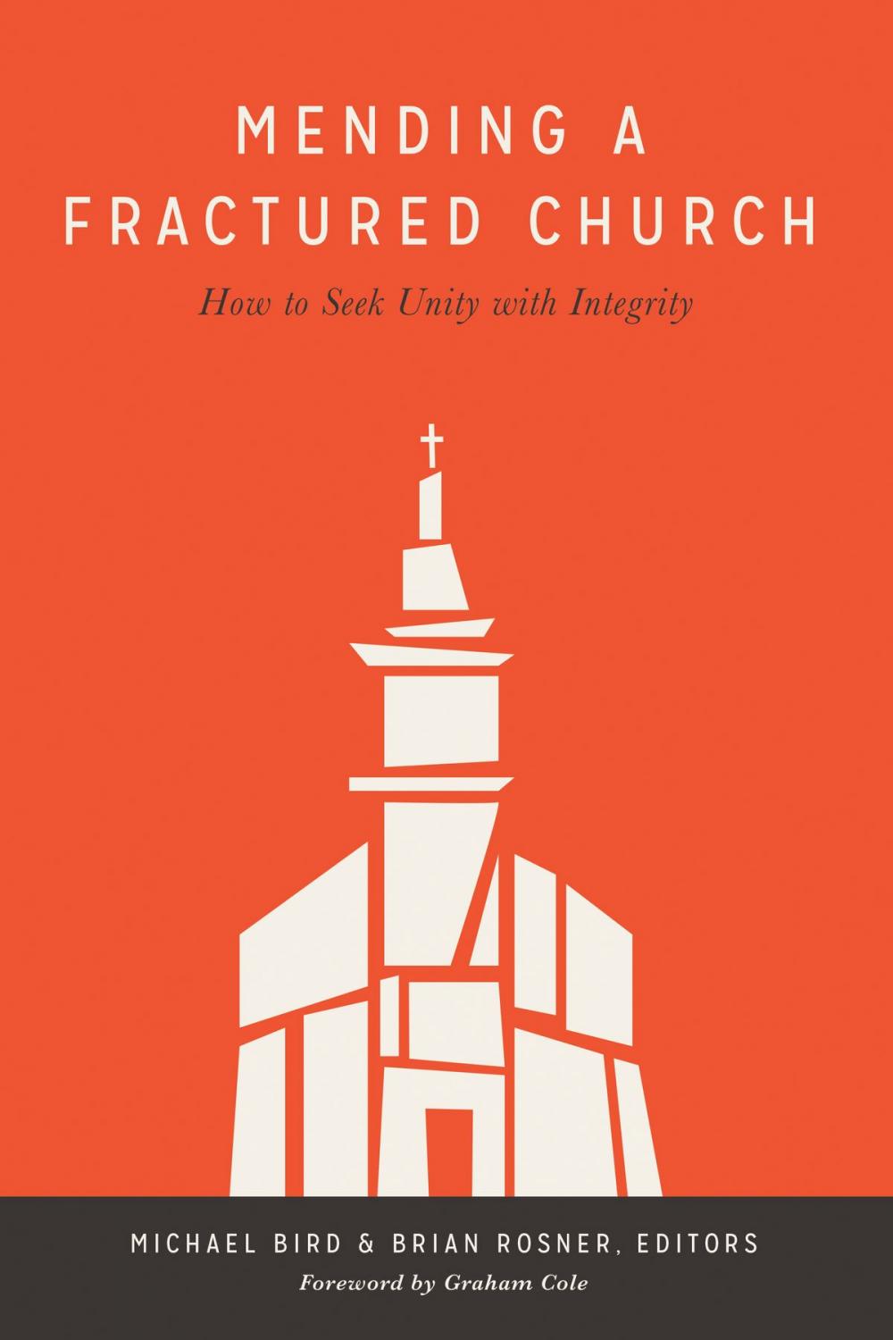 Big bigCover of Mending a Fractured Church